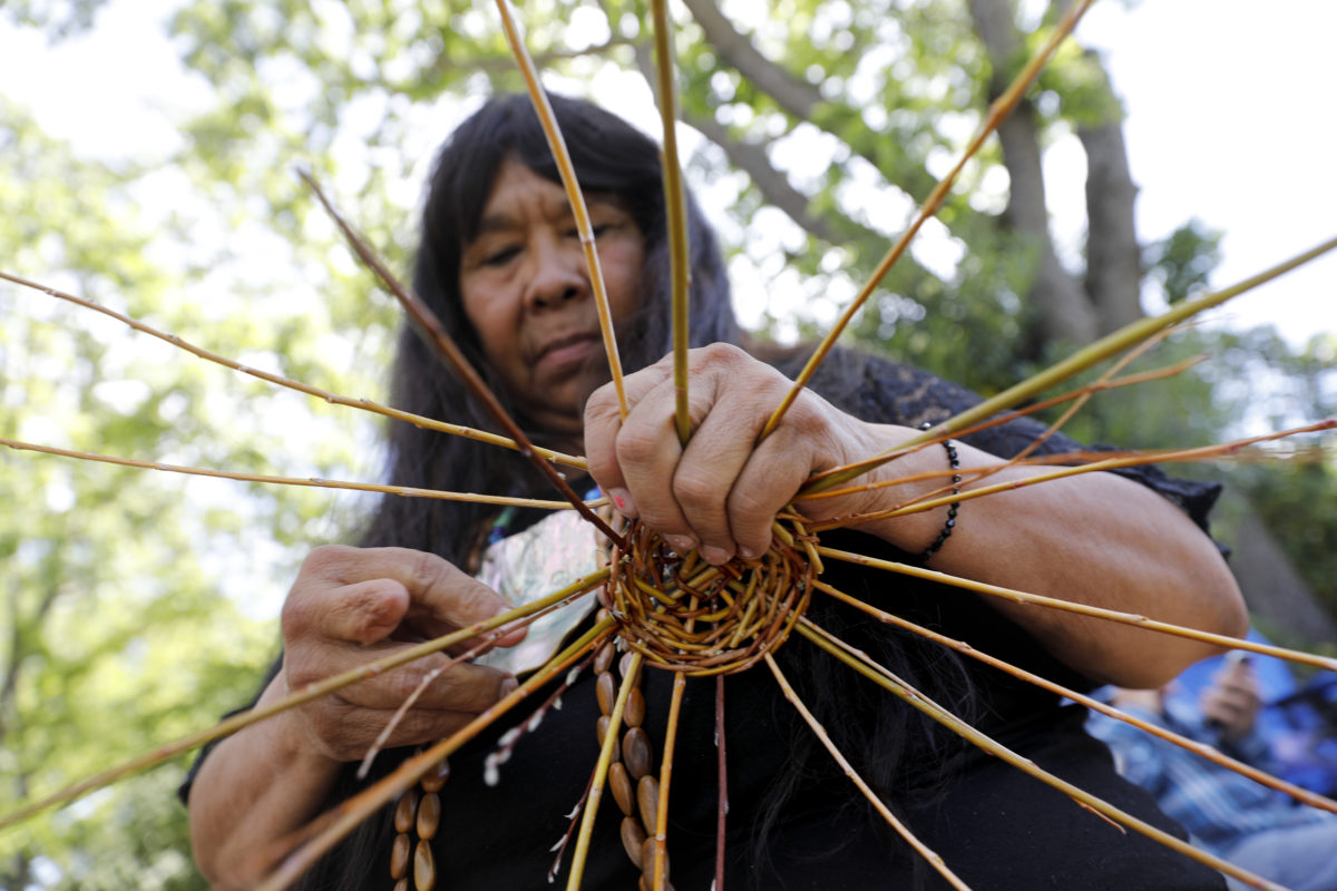 Lucy Parker, a Miwok and Pomo native, makes a gathering basket out of willow branches during the Native American Spring Celebration on the Santa Rosa Junior College campus on Sunday, May 6, 2018 in Santa Rosa, California . (Beth Schlanker/The Press Democrat)