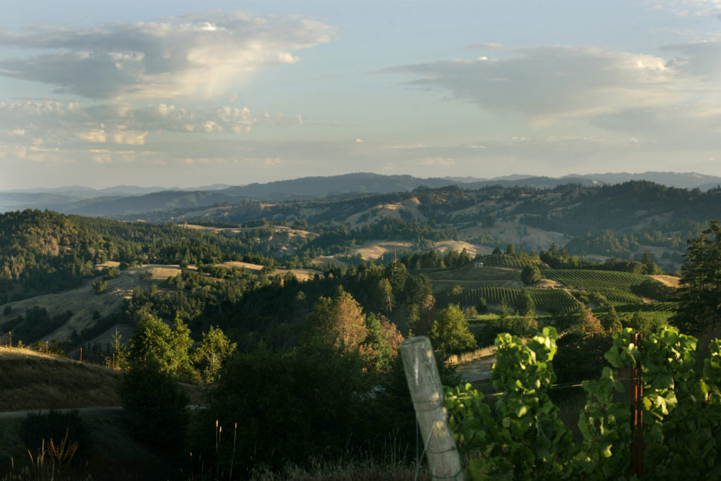 The view from the Hirsch Vineyards towards the north shows the rugged country of the Sonoma Coast Appellations. Shot on August 30, 2007 for summer Savor magazine. ( Press Democrat / Charlie Gesell )