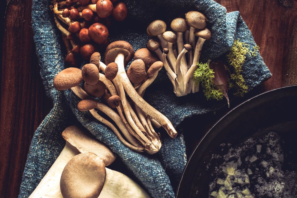 From Bottom, Alba Clamshell, Trumpet Royale, Velvet Pioppini, Brown Clamshell and Forest Nameko mushrooms from Gourmet Mushrooms in Sebastopol. (photo by John Burgess/The Press Democrat)