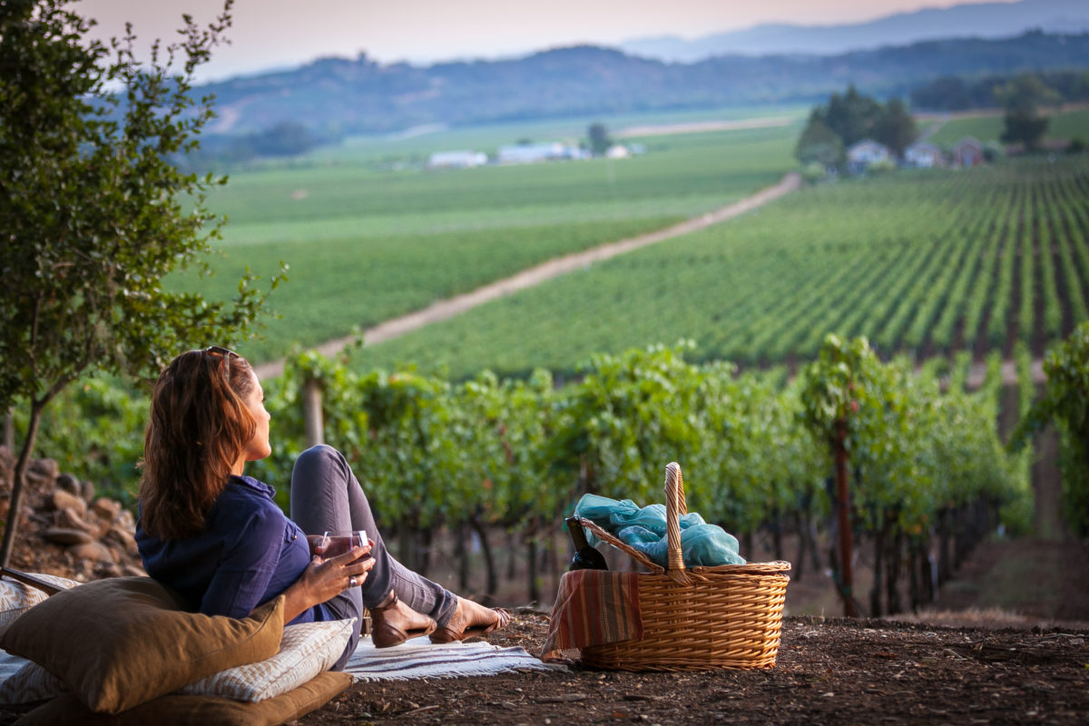 A glass of wine in the vineyards at Hawkes Wines in Healdsburg. (Kim Carroll)