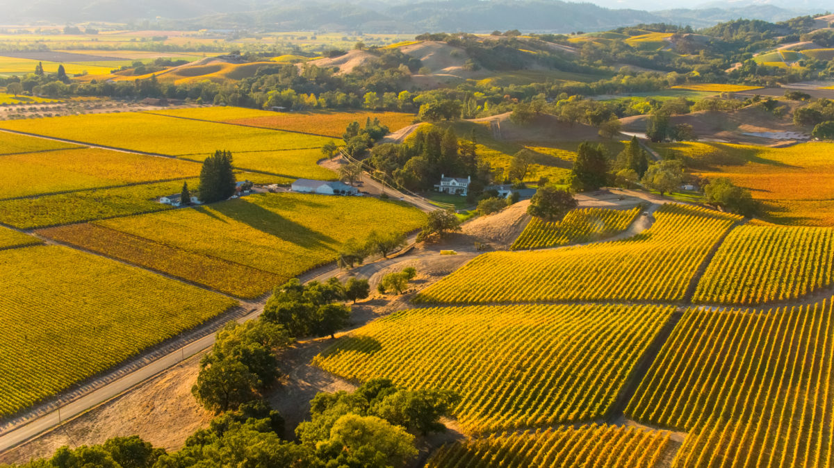Robert Young Estate Winery in Alexander Valley. (Robert Young Estate Winery)