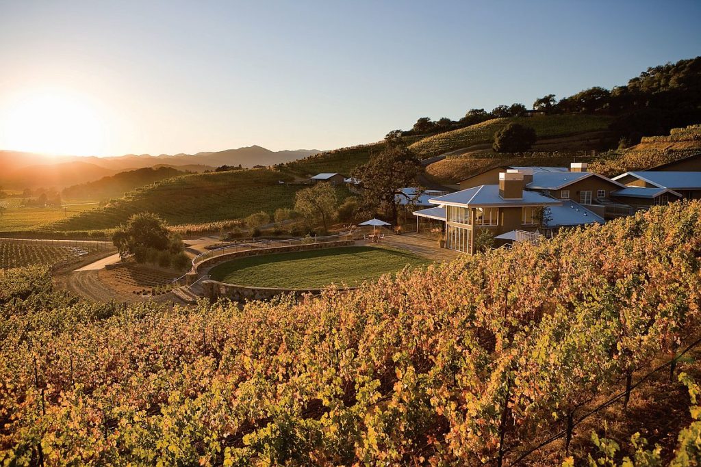 Winery vineyard and tasting room at sunset.