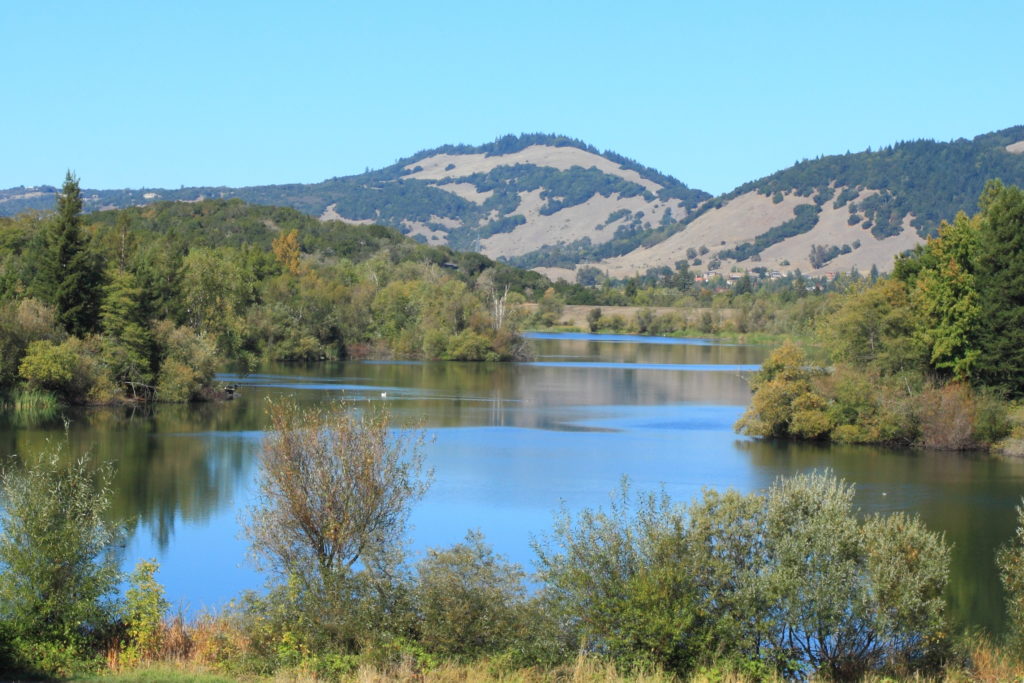 Located in Santa Rosa, Spring Lake Regional Park is one of the better known parks of Sonoma County. The park has ten trails for your dog to roam on leash and a swimming lagoon where dogs are welcome for off-leash swimming and play during the annual Water Bark event in September. North Entrance: 393 Violetti Road, Santa Rosa. South Entrance: 5585 Newanga Avenue, Santa Rosa 95409, 707-539-8092, parks.sonomacounty.ca.gov.