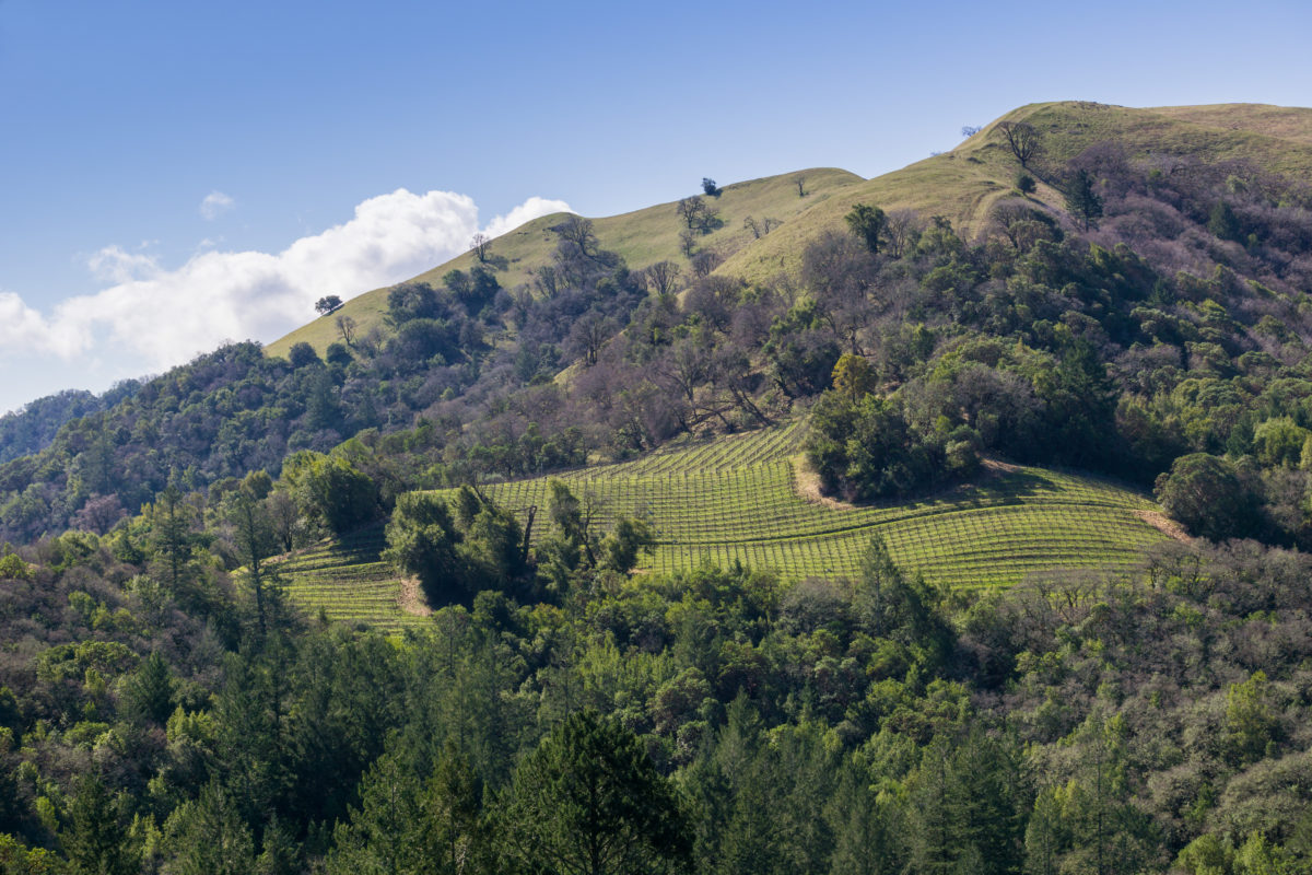 County Sonoma County Калифорния