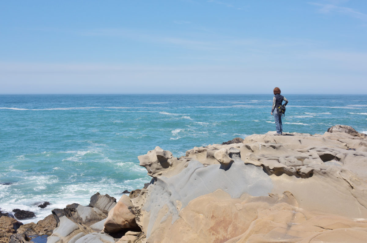 Salt Point State Park Jenner
