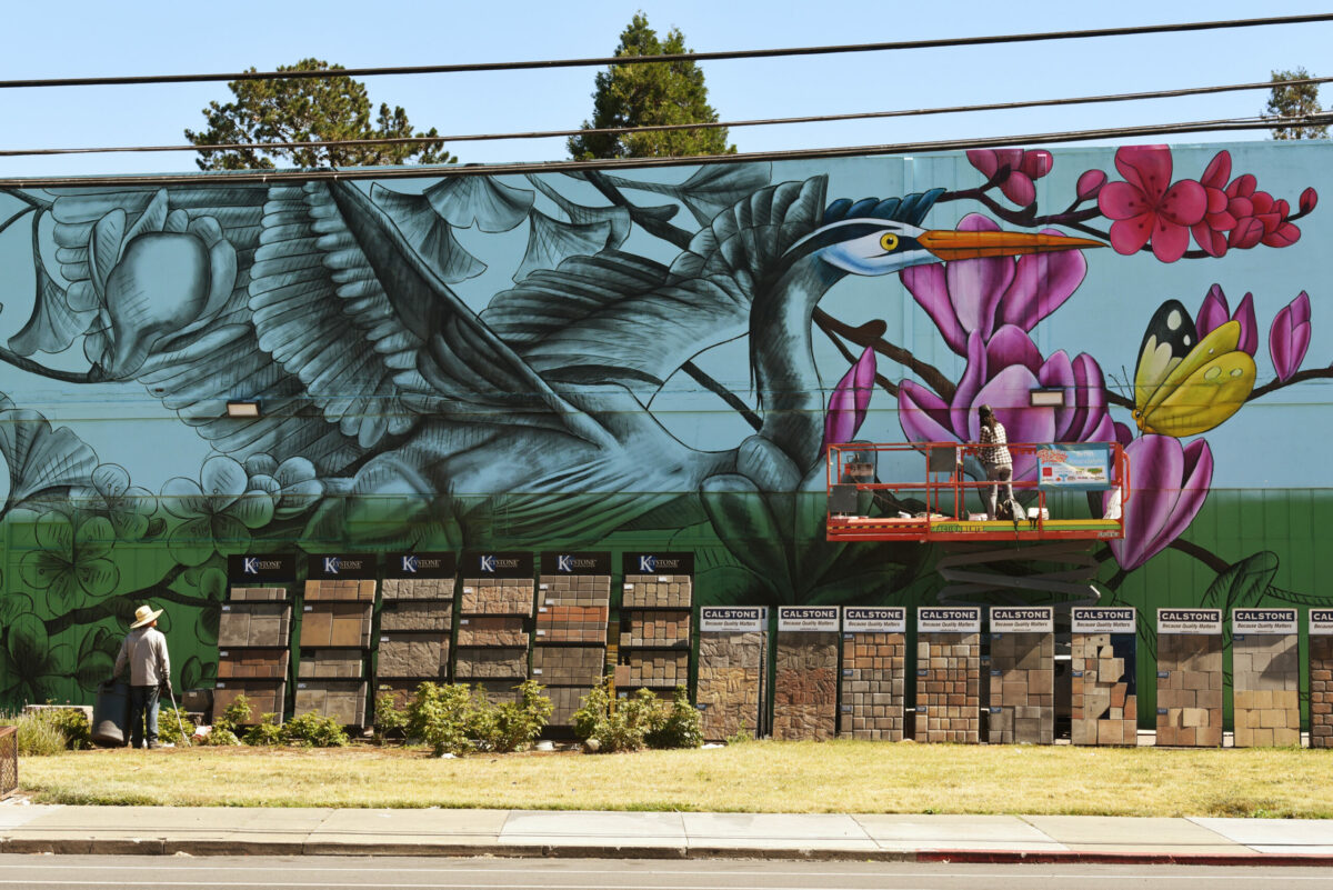 Amanda Lynn, a Forestville based artist, working on coloring her massive mural which wraps around three sides of the SiteOne Landscape Supply building located on Sebastopol Road and Goodman Avenue during The Mural Festival in Roseland neighborhood of Santa Rosa on Tuesday, June 28, 2022. (Erik Castro / For The Press Democrat)