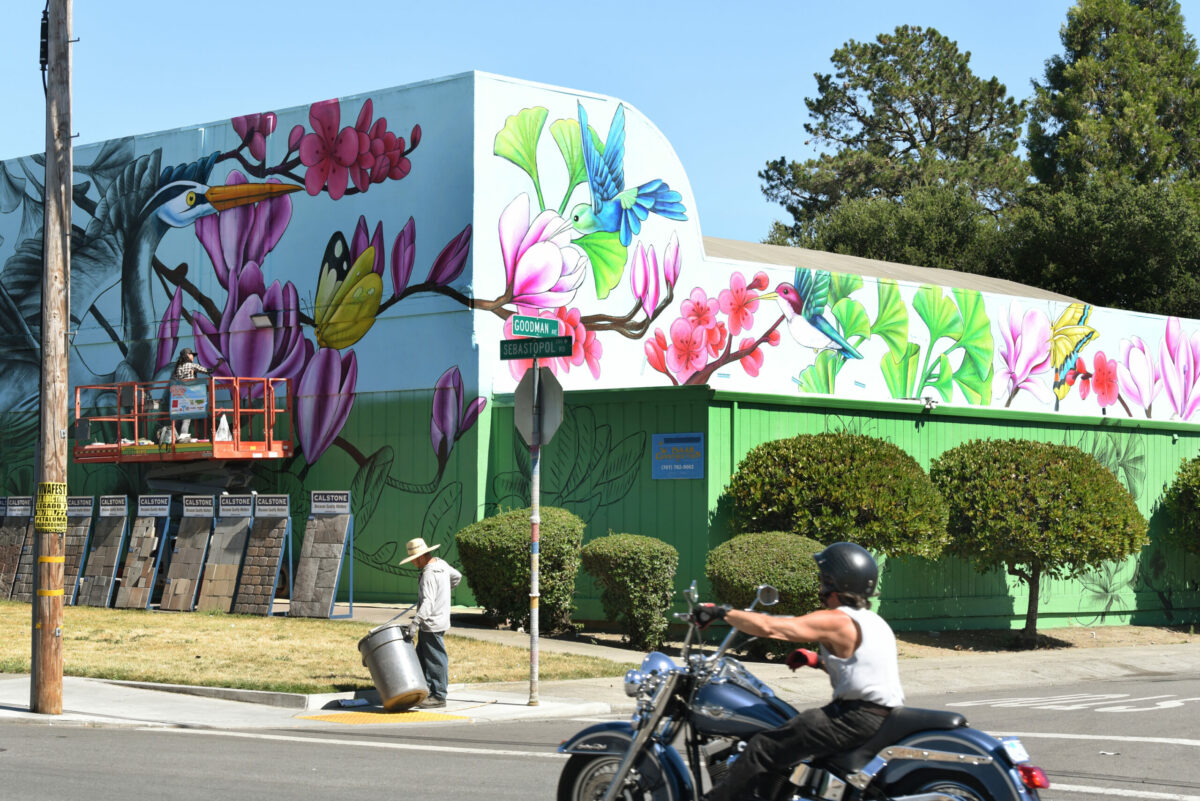 Amanda Lynn, a Forestville based artist, working on coloring her massive mural which wraps around three sides of the SiteOne Landscape Supply building located on Sebastopol Road and Goodman Avenue during The Mural Festival in Roseland neighborhood of Santa Rosa on Tuesday, June 28, 2022. (Erik Castro / For The Press Democrat)