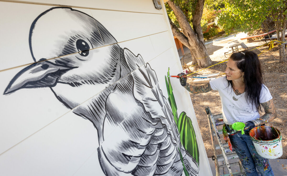 Muralist Amanda Lynn paints a bluebird on a fig tree on the outer walls of The Playground Café at St. Stephen's Church Wednesday, Oct. 16, 2024, in Sebastopol. (John Burgess / The Press Democrat)