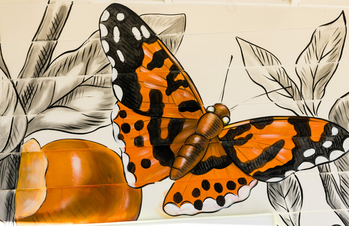 Muralist Amanda Lynn uses black paint to create the outline and shadowing of her garden creatures before adding color for her creation on the walls of The Playground Café at St. Stephen's Church Wednesday, Oct. 16, 2024, in Sebastopol. (John Burgess / The Press Democrat)