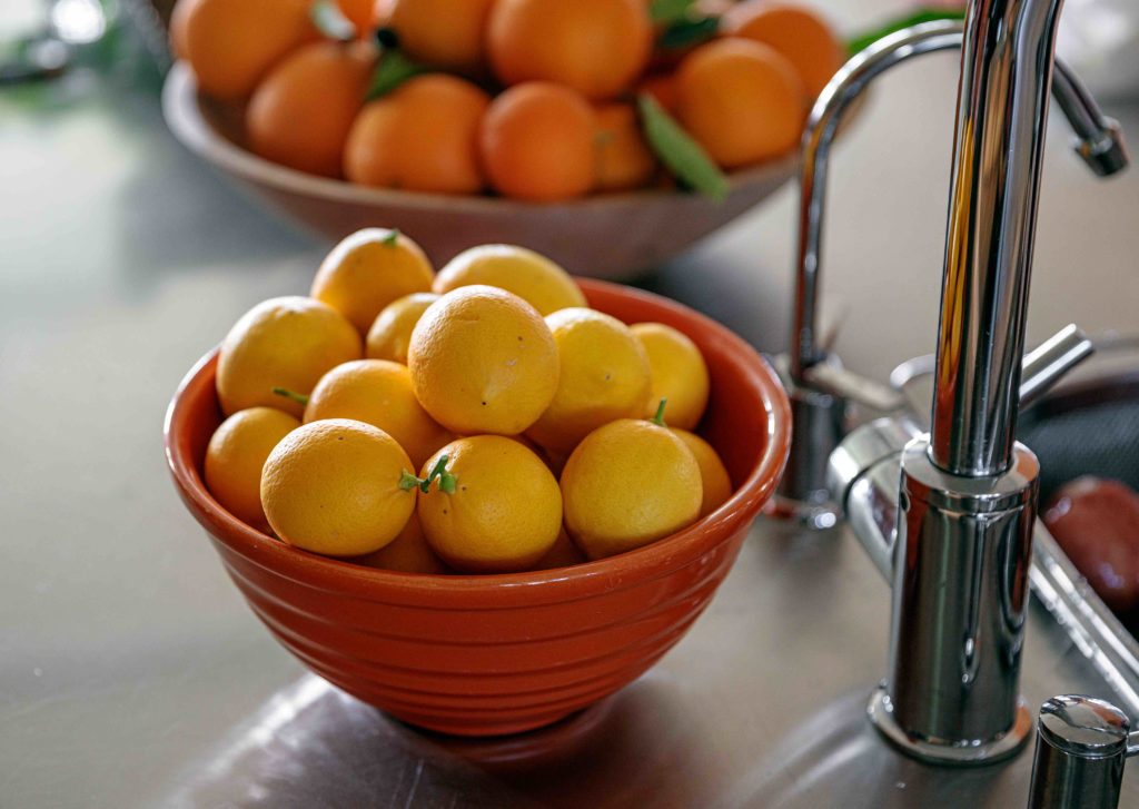 Slow Food story Carol Diaz and the Slow Food group have a dinner at her house Locally grown Myer lemons