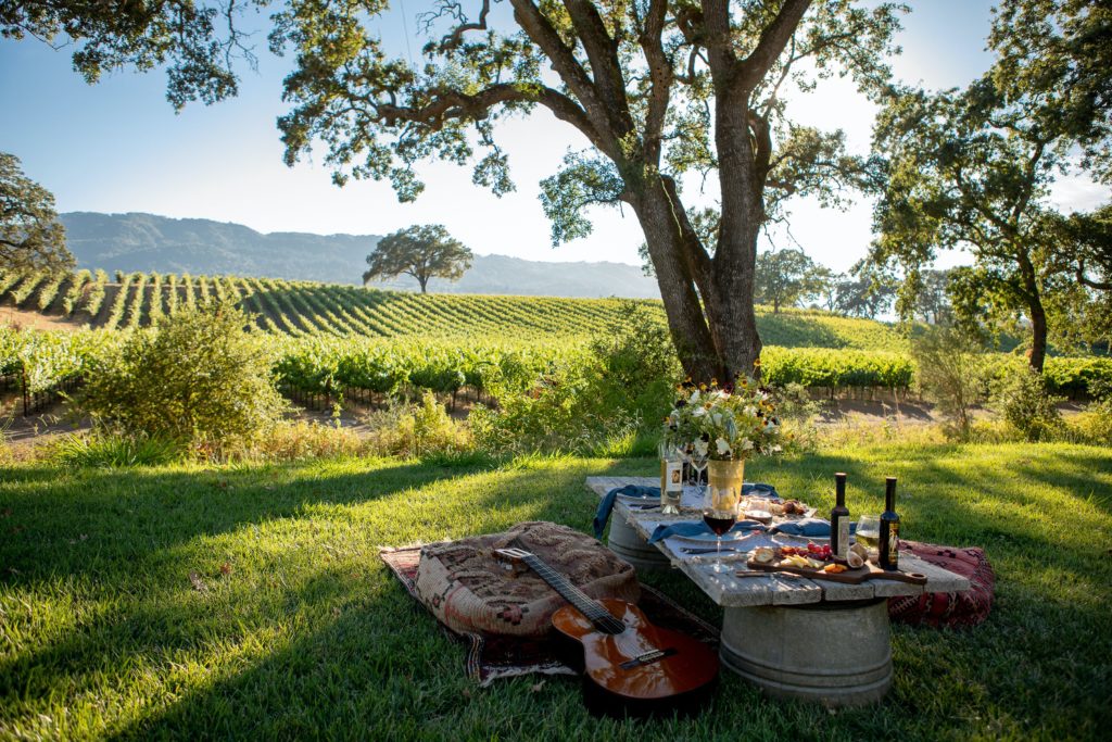10 Sonoma Wineries to Visit This Spring