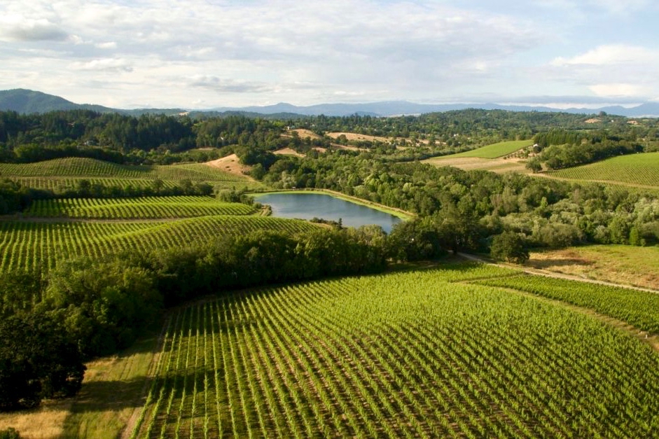 At Iron Horse Vineyards in Sebastopol. (Courtesy of Iron Horse Vineyards)