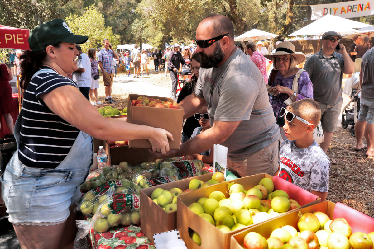 Shawn Cook of Santa Rosa, center, purchases a box of Gravenstein apples for his family from Jordan Walker of Walker's Apples during the Gravenstein Apple Fair at Ragle Ranch Park in Sebastopol, on Saturday, August 17, 2019. (Alvin Jornada / The Press Democrat)