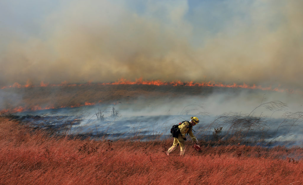 Fire retardant coated dry brush red, as a Cal Fire firefighter lights a backfire. The fire started off Lakeville Highway crossed and spread in to open ranch land off Stage Gulch Road, burning about 140 acres, Friday, June 5, 2020, south of Petaluma, (Kent Porter / The Press Democrat) 
