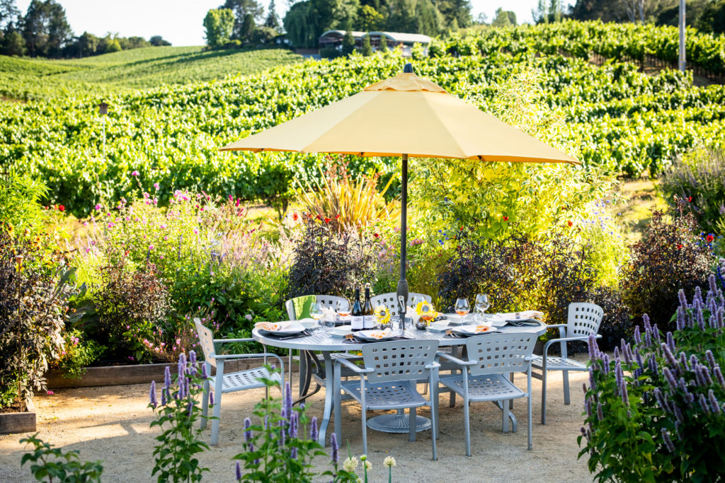 4 Sonoma Wineries for an Authentic Harvest Experience