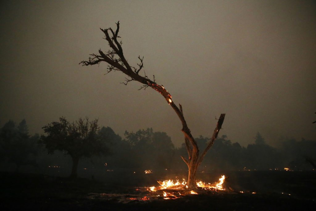 Sonoma County Fires