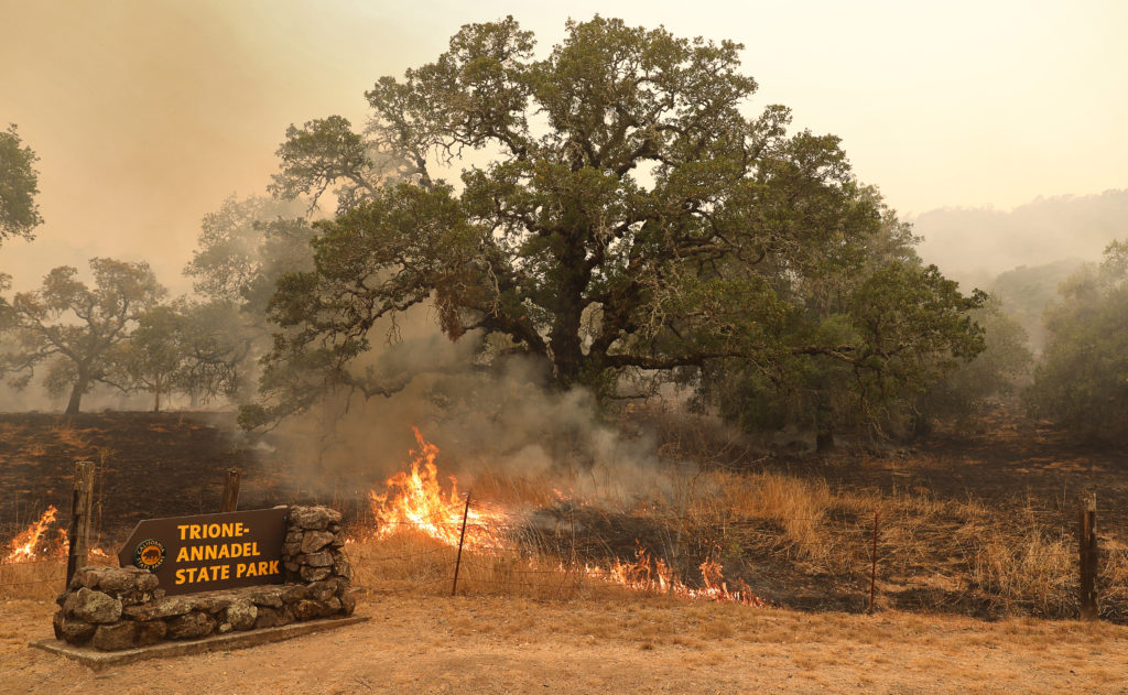 Vegetation burns in Trione-Annadel State Park, along Channel Drive, in Santa Rosa on Monday, September 28, 2020. (Christopher Chung/ The Press Democrat)