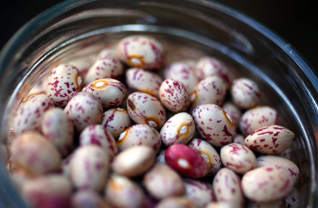 Petaluma Gold Rush beans stored at the West County Community Seed Exchange seed library in Sebastopol on Wednesday, November 20, 2013. (Christopher Chung / The Press Democrat)