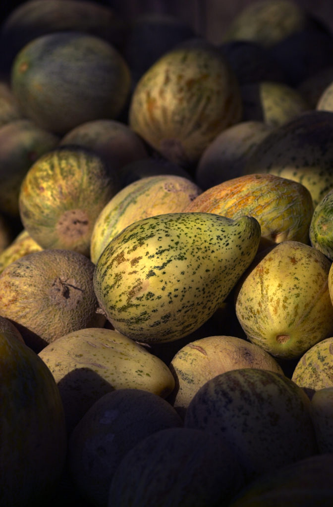 In the 1920s, Sonoma County farmer Oliver Crane crossed a Japanese melon with a cantaloupe. The resulting Crane melon has become a regional favorite that is still farmed and grown by the Crane family. (John Burgess / The Press Democrat)