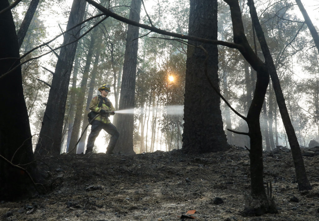 Lathrop Manteca Fire Department firefighter John Legasa puts out hotspots on a hillside at Rombauer Vineyards in St. Helena on Tuesday, September 29, 2020. (Christopher Chung/ The Press Democrat)