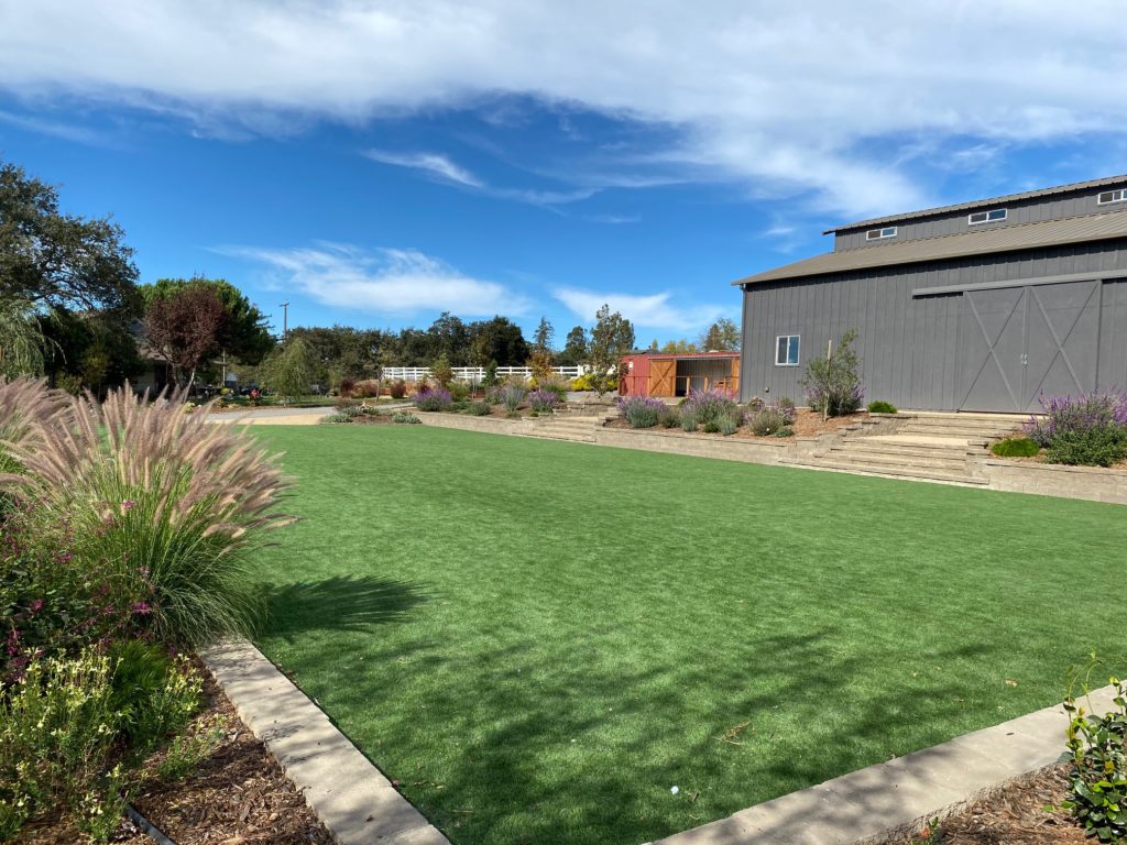 The outdoor wedding space at Green Acres Petaluma. (Emily Hax/Green Acres Petaluma)
