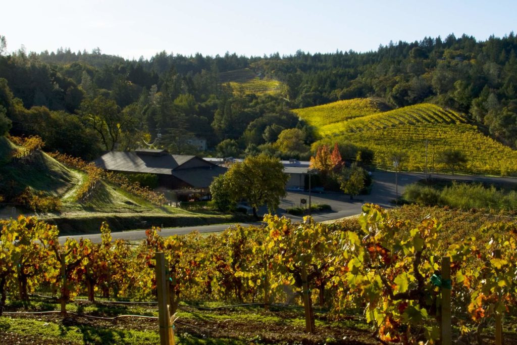 15 Sonoma Wineries to Visit if You Love Zinfandel - Sonoma Magazine