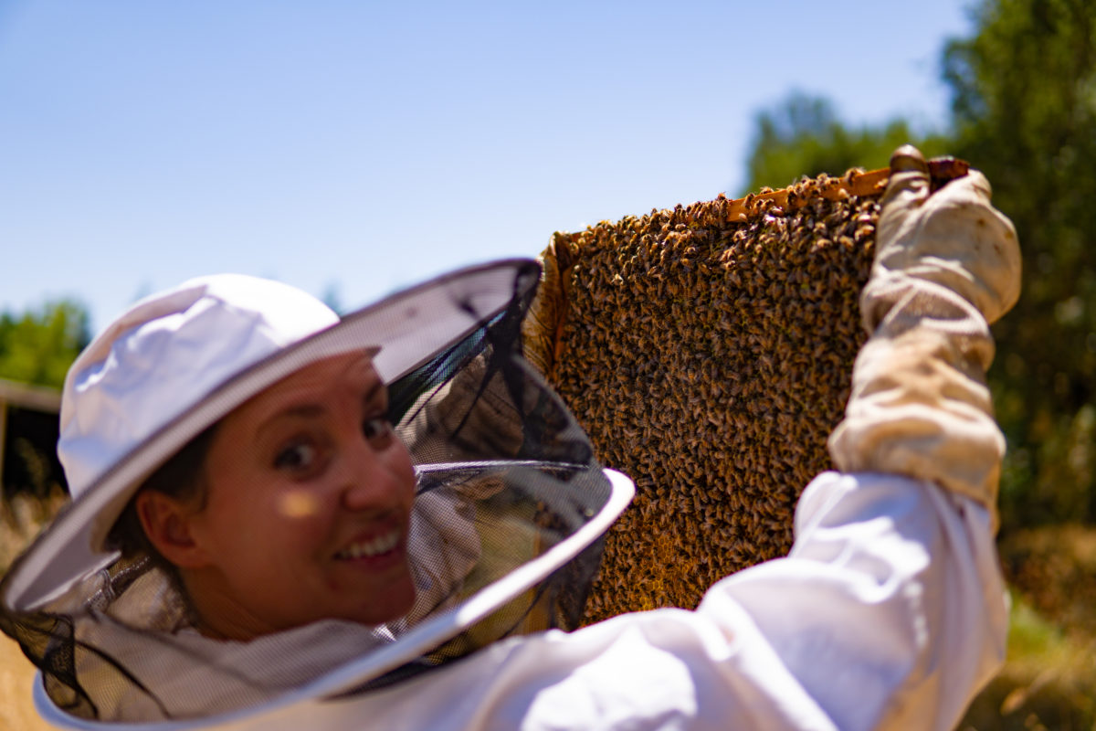 Sonoma County Bee Company