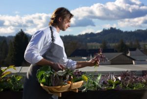 Chef de cuisine Aaron Koseba harvests purple frill mustard greens form the rooftop garden at Single Thread Farms Restaurant in Healdsburg. (John Burgess/The Press Democrat)