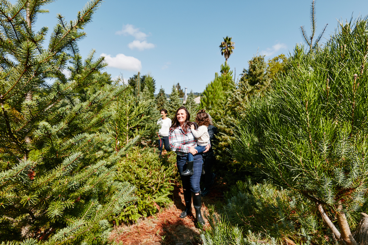 Photo by Kim Carroll.