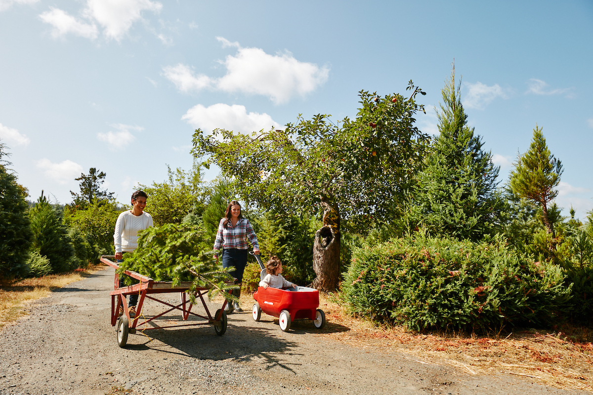 Photo by Kim Carroll.