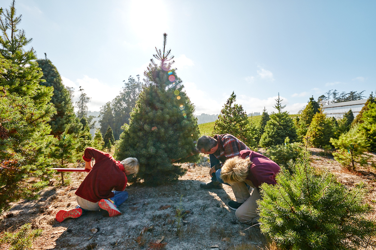 Photo by Kim Carroll. 