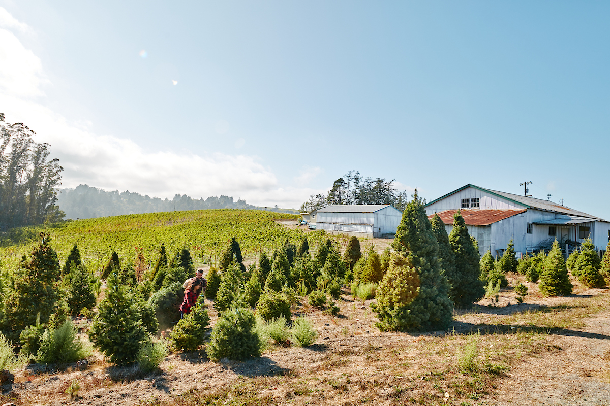 Photo by Kim Carroll. 