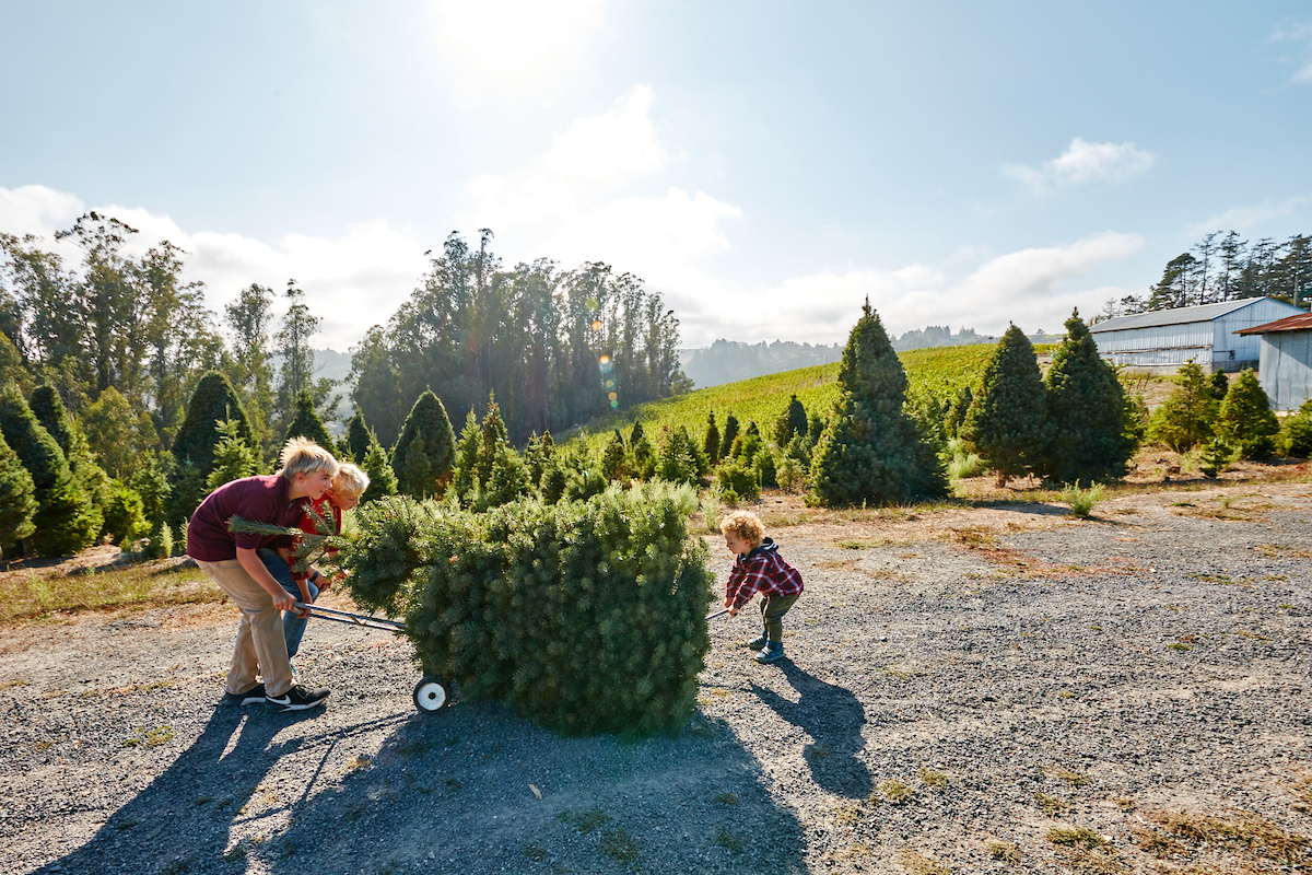 Photo by Kim Carroll. 