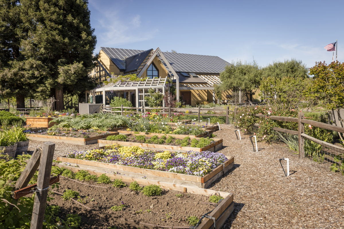 The garden at Quivira Vineyards in Healdsburg. (Courtesy of Quivira Vineyards)