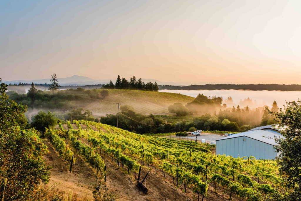 The view from the back porch. (Rebecca Gosselin / Sonoma Magazine)