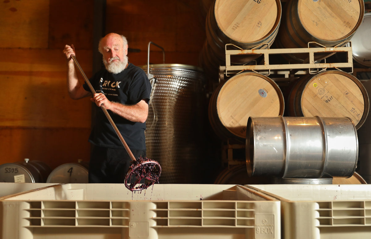 Bill Frick punches down syrah at Frick Winery, near Geyserville, on Thursday, September 17, 2020. (Christopher Chung/The Press Democrat)