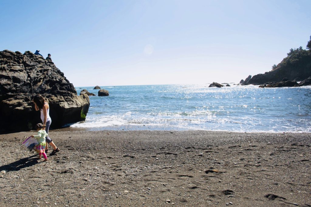 Leigh Felix and her daughter, Lana, 3, of Petaluma, search for seaweed to harvest during a seaweed educational outing hosted by Sonoma County Regional Parks ranger Marcia Munson at Stillwater Cove Regional Park in Jenner on May 27, 2018.(Erik Castro/For Sonoma Magazine)