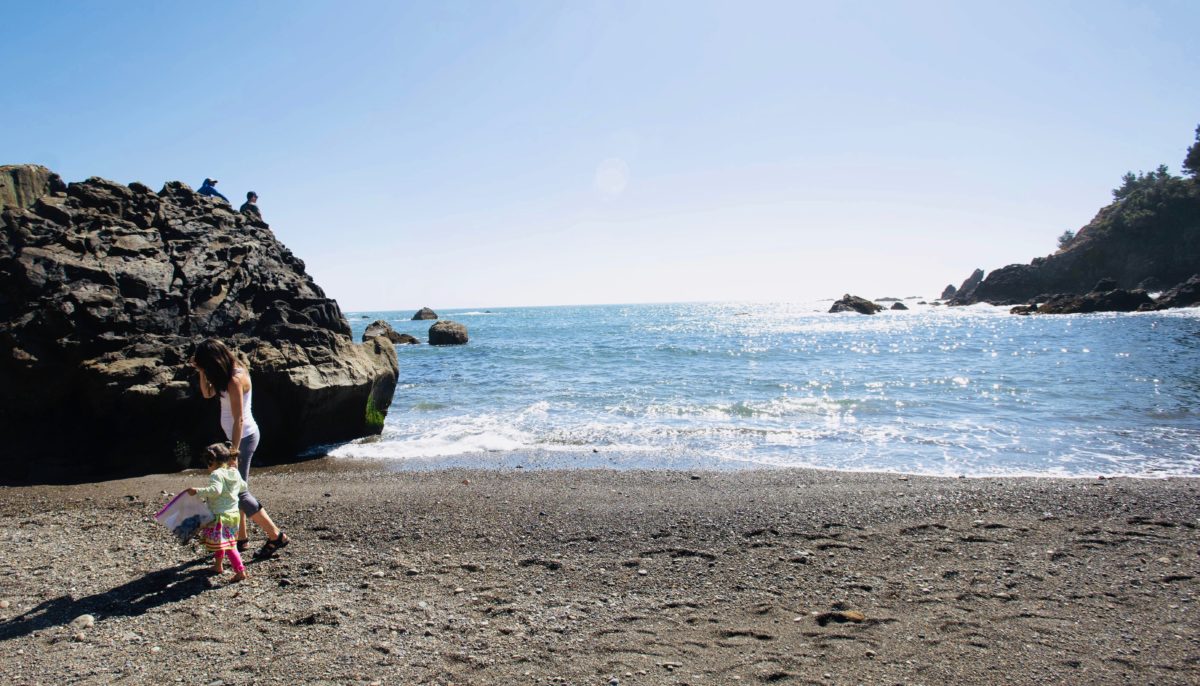 Leigh Felix and her daughter, Lana, 3, of Petaluma, search for seaweed to harvest during a seaweed educational outing hosted by Sonoma County Regional Parks ranger Marcia Munson at Stillwater Cove Regional Park in Jenner on May 27, 2018.(Erik Castro/For Sonoma Magazine)