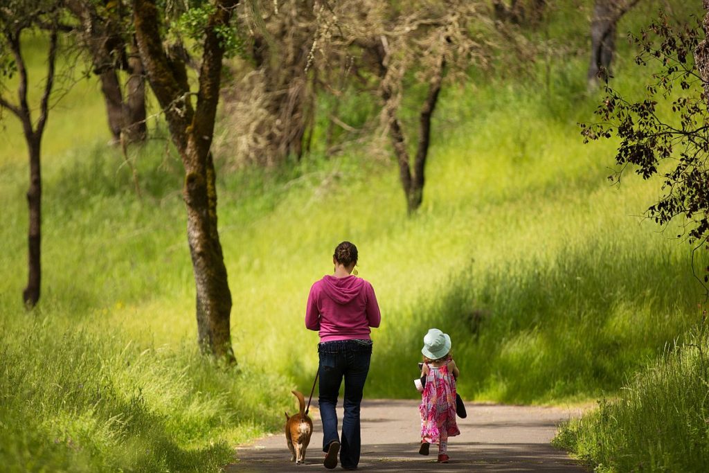 In Glen Ellen, Sonoma Valley Regional Park is home to numerous trails perfect for you and your dog. Stretching to be over 200 acres, the park even includes a fenced off dog park, Elizabeth Perrone Dog Park, where your pup can run free and play. 13630 Highway 12, Glen Ellen 95442, 707-539-8092, parks.sonomacounty.ca.gov.