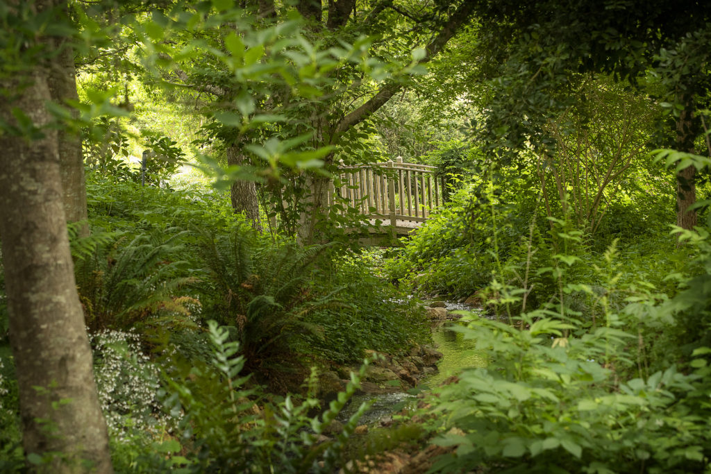 The lush spring garden at the Quarryhill Botanical Garden in Glen Ellen. (John Burgess/The Press Democrat)