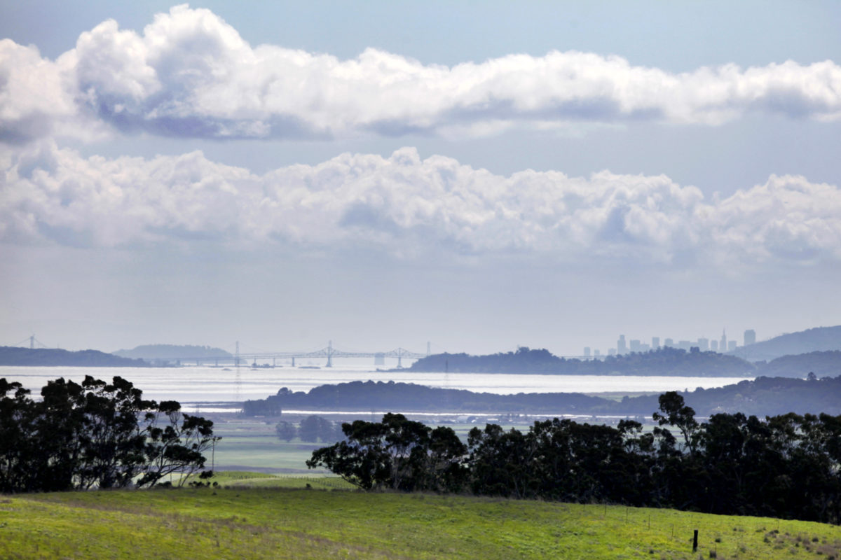 The skyline of San Francisco is seen from Tolay Lake Regional Park east of Petaluma, California, on Sunday, March 18, 2012. (BETH SCHLANKER/ The Press Democrat)