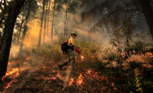 Prescribed fire is used to thin the forest floor in the hills above West Dry Creek Nov. 29, 2020. The Walbridge fire burned very close to the area of the prescribed fire. (Kent Porter / The Press Democrat) 