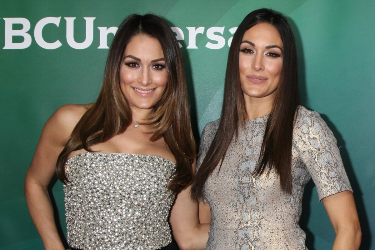 LOS ANGELES - JAN 14: Nikki Bella, Brie Bella at the NBCUniversal Cable TCA Press Day Winter 2016 at the Langham Huntington Hotel on January 14, 2016 in Pasadena, CA