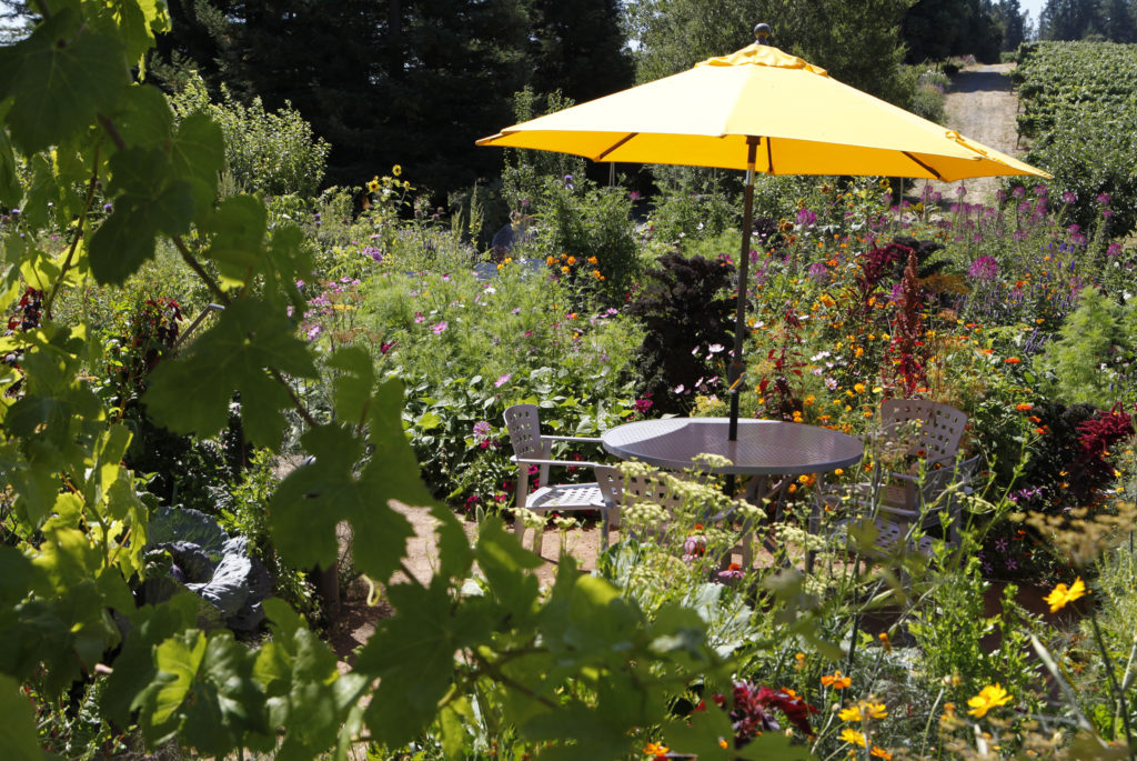 A table for wine tasters sits among a variety of flowers and vegetables in the garden at Lynmar Estate winery in Sebastopol, California on Tuesday, August 2, 2011. (BETH SCHLANKER/ The Press Democrat