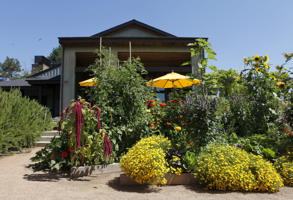 A variety of flowers and vegetables fill the garden at Lynmar Estate winery in Sebastopol. (Beth Schlanker/The press Democrat)