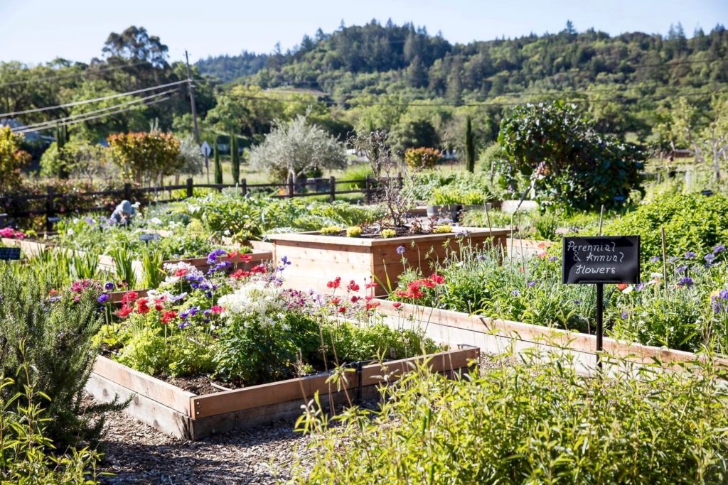The garden at Quivira Vineyards in Healdsburg. (Quivira Vineyards)
