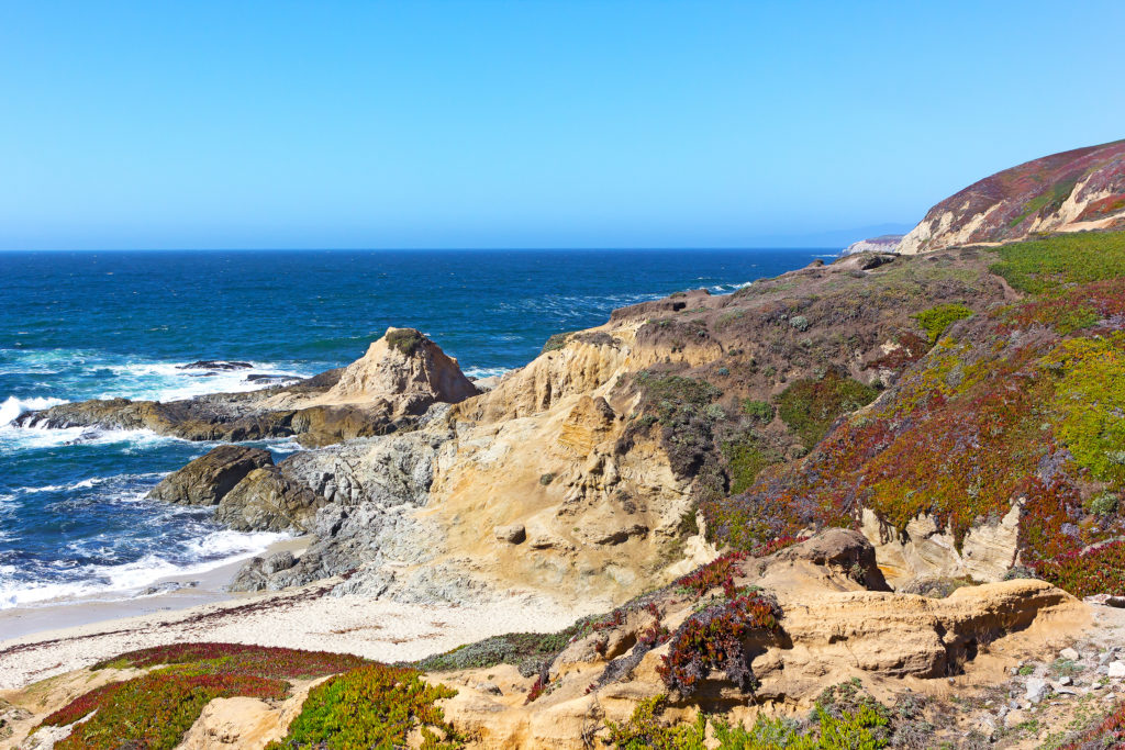 The Bodega Head. (Shutterstock)