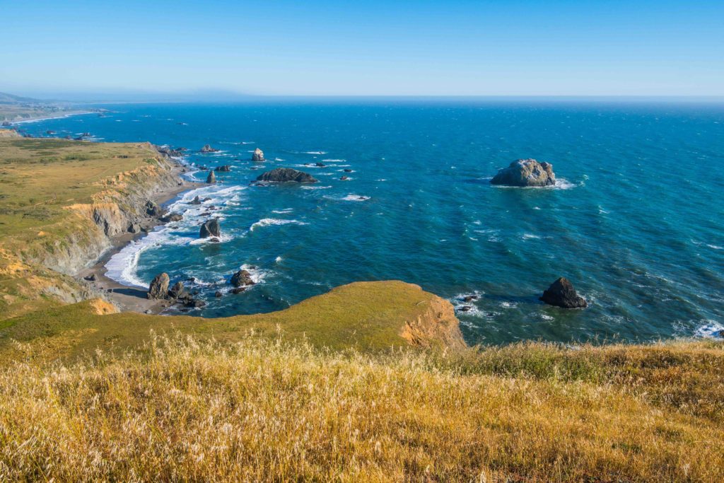 The Best Places to Stop Along Highway 1 in Sonoma County