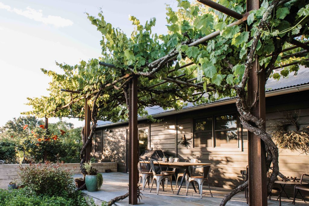 Two Landscape Professionals Create a Breezy, Meditative Home in Sonoma