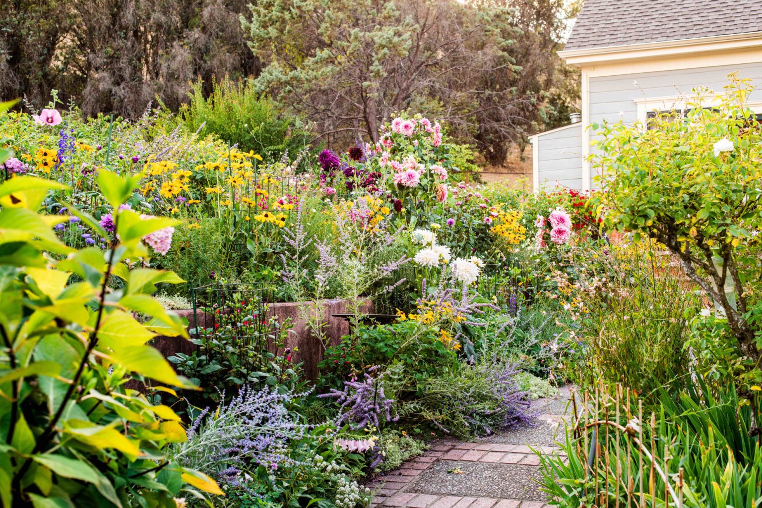 The Ultimate Guide to Spring Planting in Sonoma Sonoma Magazine